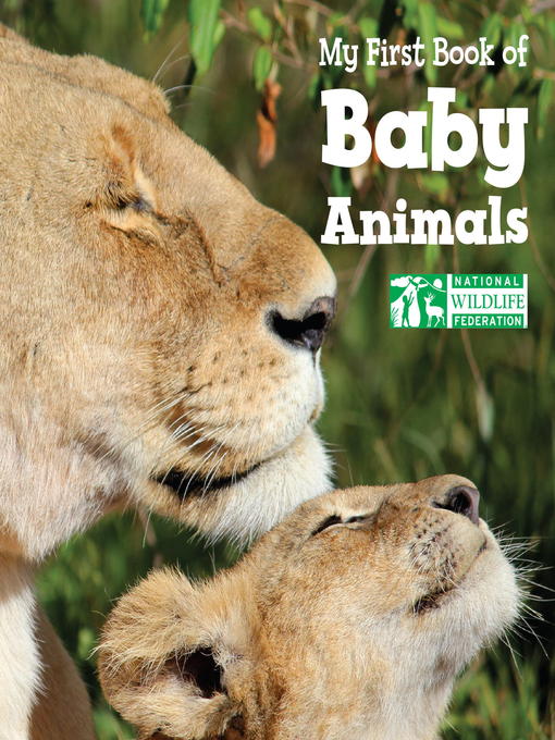 Title details for My First Book of Baby Animals by National Wildlife Federation - Available